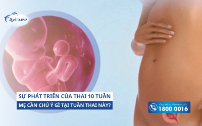 Thai 10 tuần tuổi phát triển như thế nào? Mẹ cần chú ý gì tại tuần thai này?